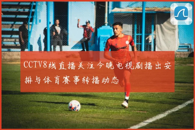 CCTV8线直播关注今晚电视剧播出安排与体育赛事转播动态