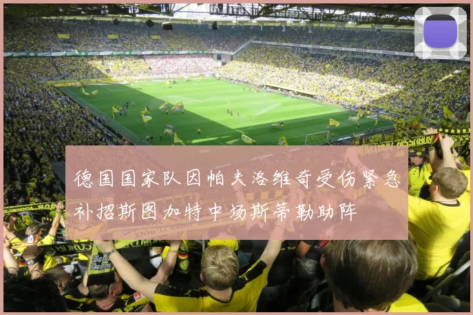 德国国家队因帕夫洛维奇受伤紧急补招斯图加特中场斯蒂勒助阵